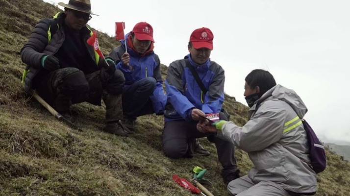東強(qiáng)堂冬蟲夏草的采挖時(shí)間和注意事項(xiàng)