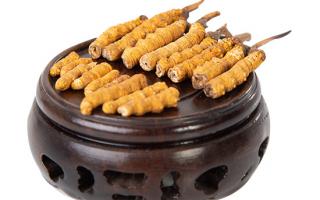 冬蟲夏草的頭期斷草好嗎？有沒有營養(yǎng)價值？