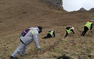 非法采挖蟲草的常見誤區(qū)、合規(guī)清單、采集證辦理流程與價值鑒定要點