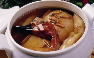 鮮冬蟲夏草老鴨湯的適配人群與禁忌清單