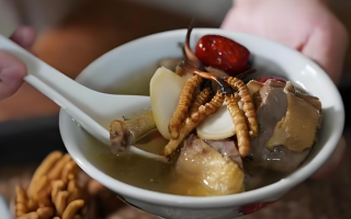  冬蟲(chóng)夏草和什么食材搭配煲湯比較好？