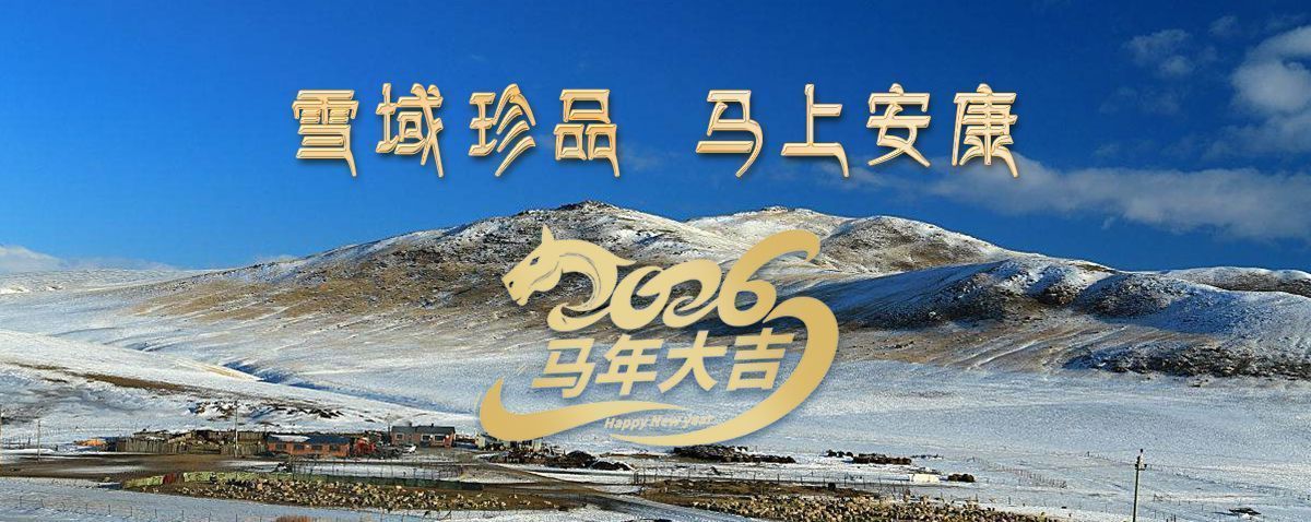 雪域高原藏珍品，2026愿您馬上安康——來自西藏那曲蟲草網(wǎng)的新春祝福