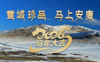 雪域高原藏珍品，2026愿您馬上安康——來自西藏那曲蟲草網(wǎng)的新春祝福